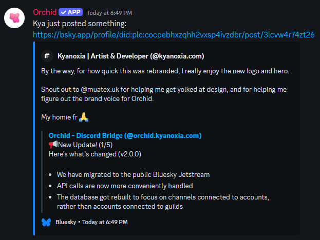 Screenshot of a Discord embed posted by Skycord.